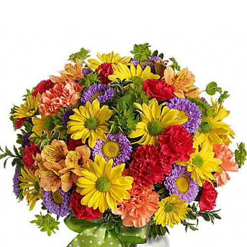 What are Chrysanthemums?