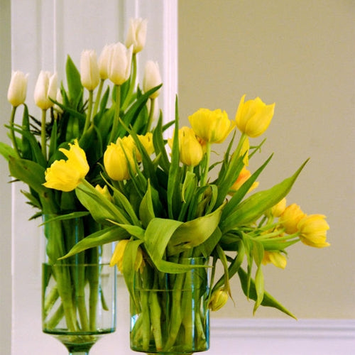 How to Arrange Flowers in a Vase