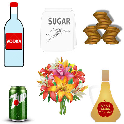 Household Items to Keep Flower Fresh