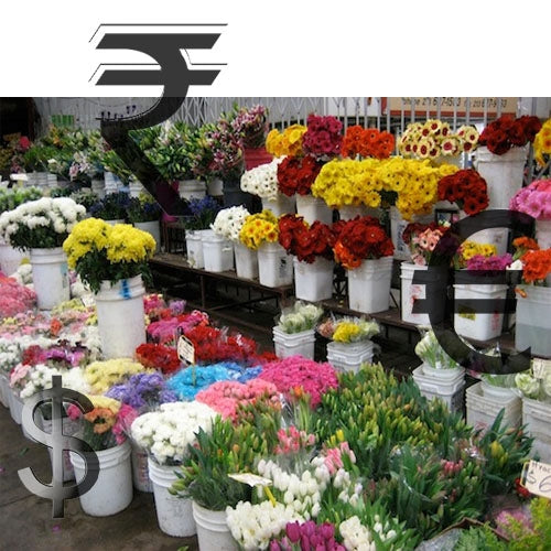 Flower Pricing on May Flower