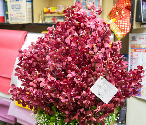 Order orchid flowers online