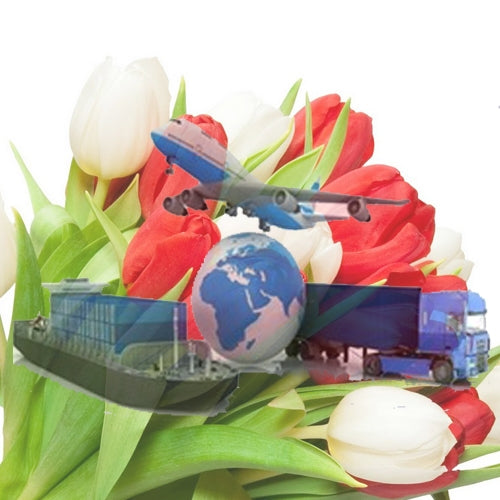 Flower Exports From India