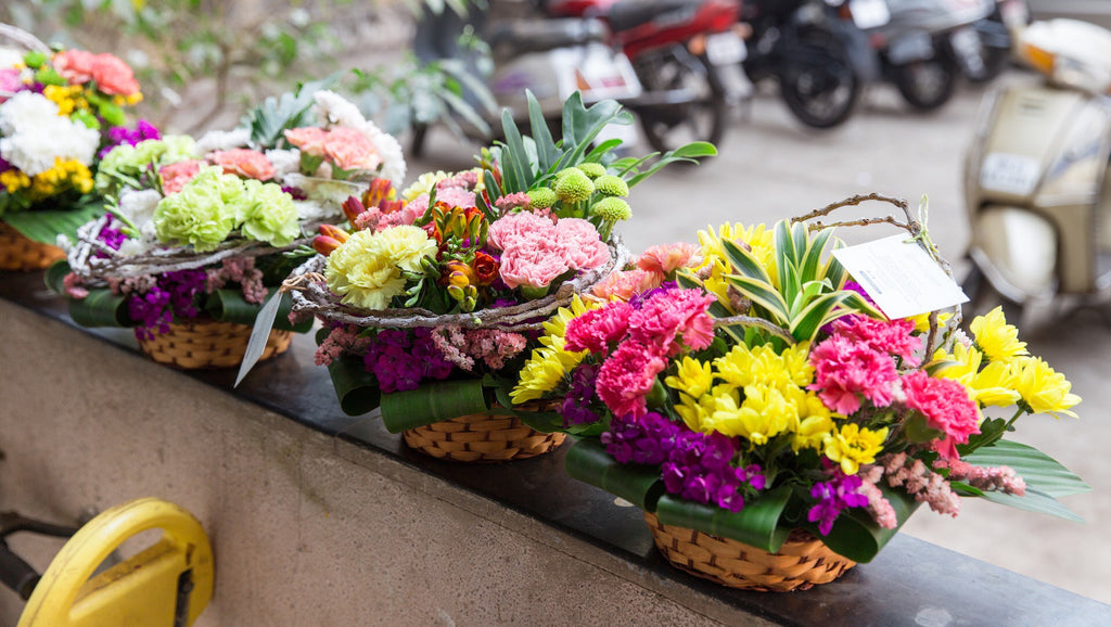 Flowers for Holi Celebration, End of the winter season and beginning of spring