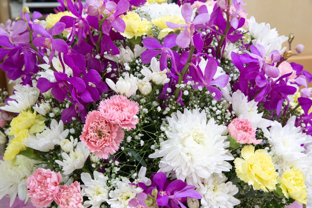 Essential Things to Know About Flower