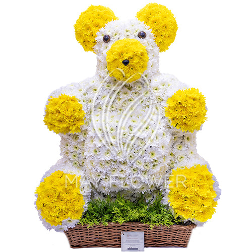Mr. Teddy