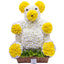 Mr. Teddy
