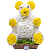 Mr. Teddy