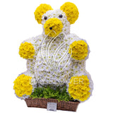 Mr. Teddy