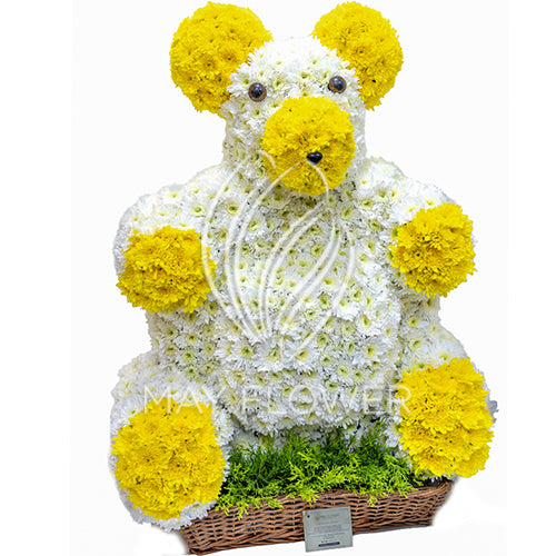 Mr. Teddy