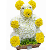 Mr. Teddy