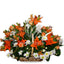 Mix Basket