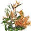 Orange Paradise!