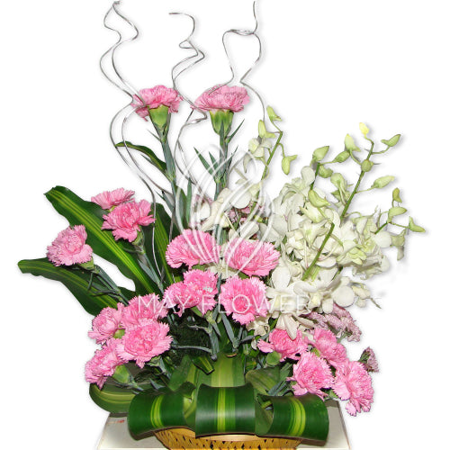 Carnations Orchids