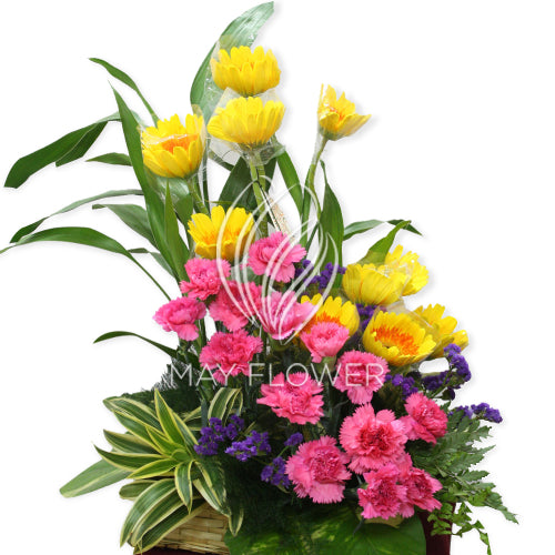 Assorted Pink Yellow Basket