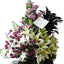 Assorted Light Color Flowers