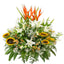 Mega Dazzle Flowers