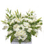 Noble Serene Florals