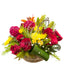Colorful Blossoms