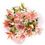 Lily Blossoms