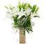 Lily Spectacle