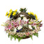 Enduring Floral Delight