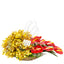 Orchid Anthurium Blast