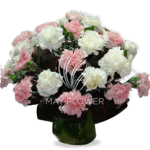 Pink White Carnation Bunch