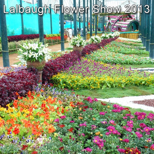 Lalbagh Flower Show 2013 Bangalore