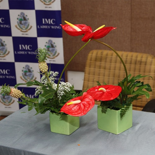 Floral Demonstration IMC Mumbai
