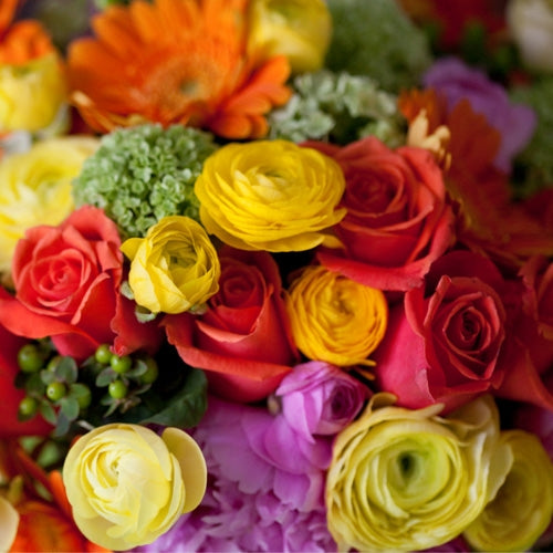 Deliver Fresh and Cost Effective Flowers To Mumbai