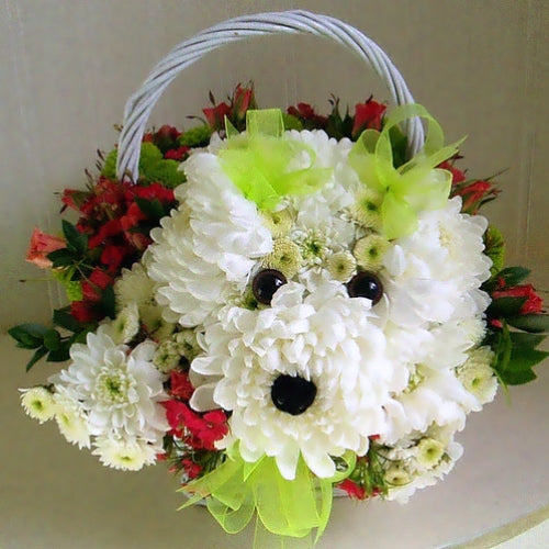 How to Make a Puppy Dog Bouquet