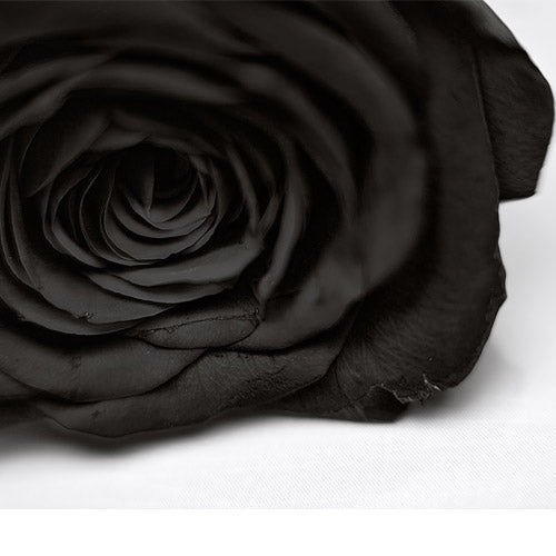 Black Rose - Turkish Halfeti