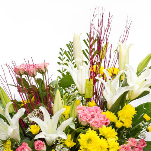 Long Lasting Flower Varieties