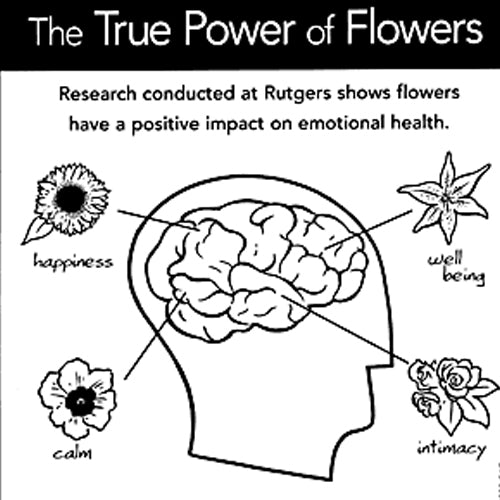 Emotional Impact of Flowers