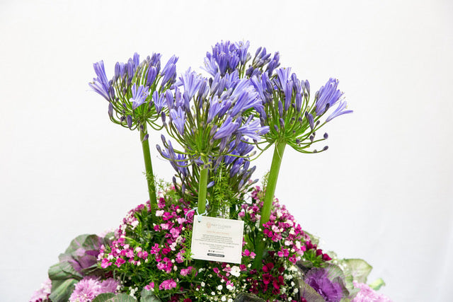 Flower arrangements for special occasions