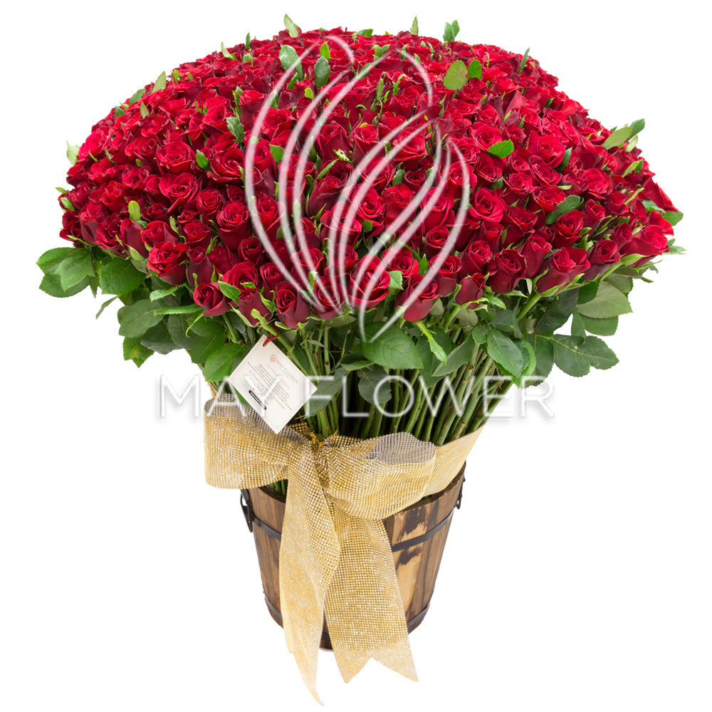 send valentine day flowers