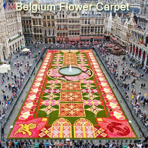 Belgium Flower Carpet