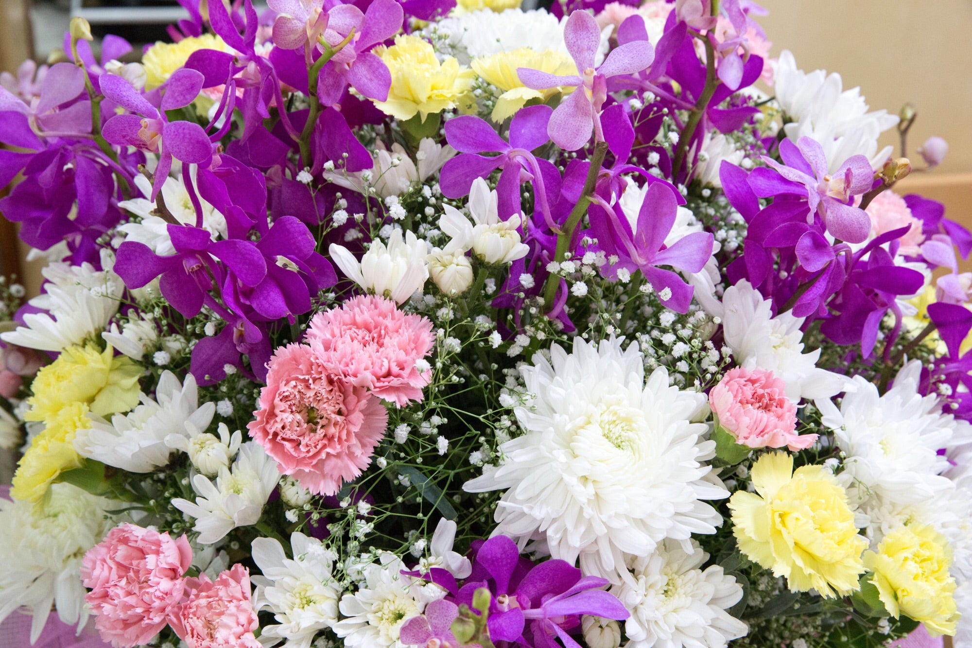 Essential Things to Know About Flower