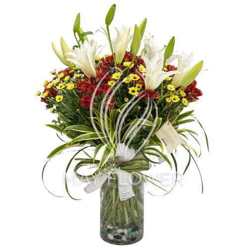 Floral Foret Main image