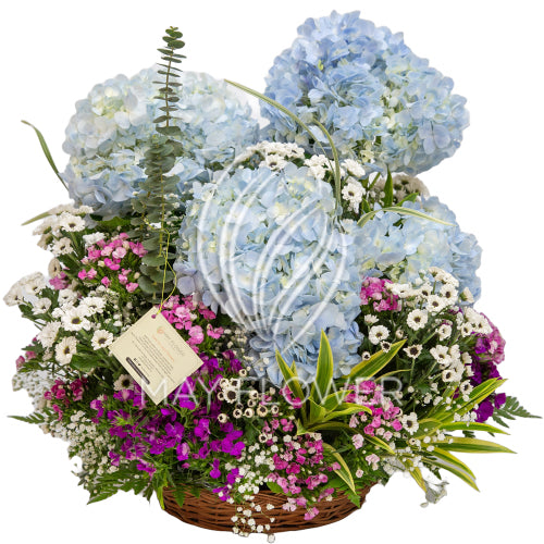 Flurry Floral Main image