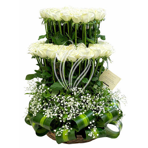 Mega White Tower Roses