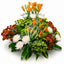 Radiant Blooms Basket