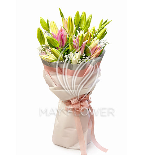 Lily Magic Main image