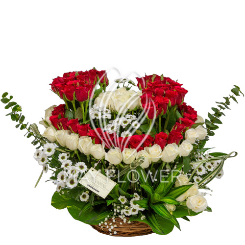 Rose Collier Main image