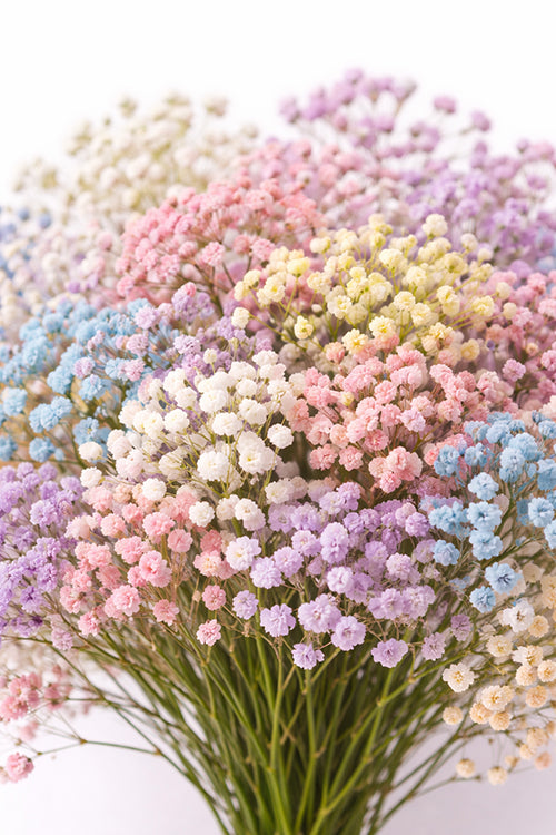 Soft Whispers