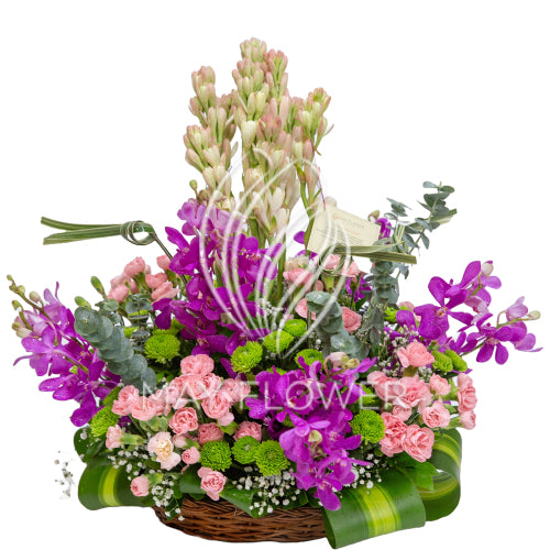 Viola Flourish Main image