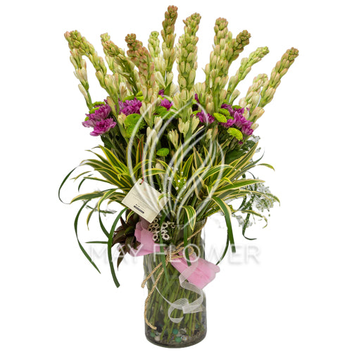 Aura Blooms Main image