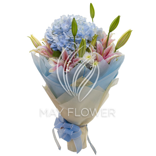 Azureous Lagoon Main image