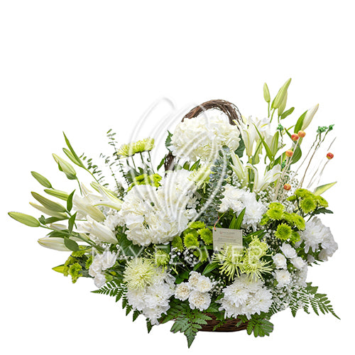 Imperial Euphoria Main image