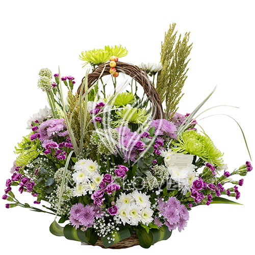 Scenic Splendor Main image